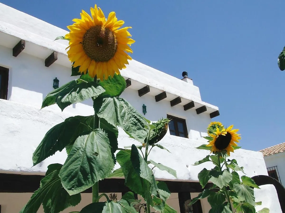 Hotel Las Piedras Alcaucin Spain